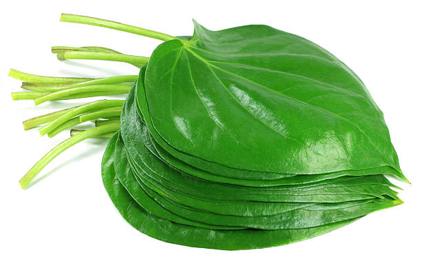 10 Paan leaves