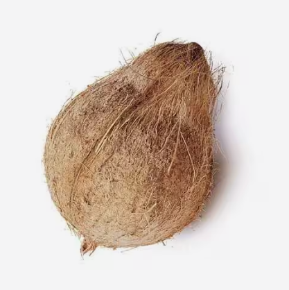 Coconut